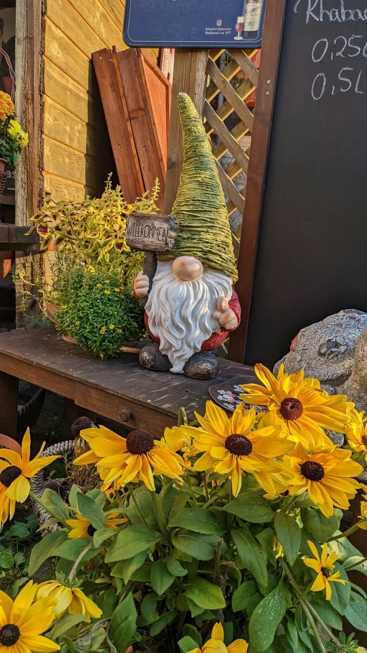 Garden Gnome